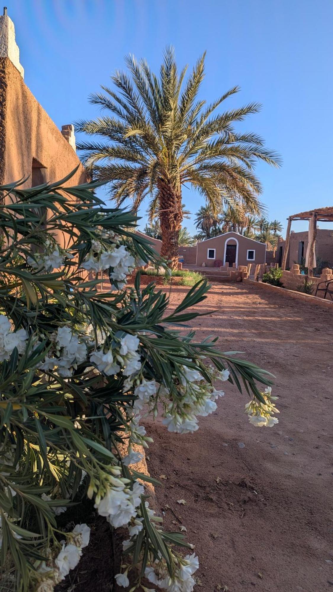Kasbah Desert Camp M'Hamid Exterior photo